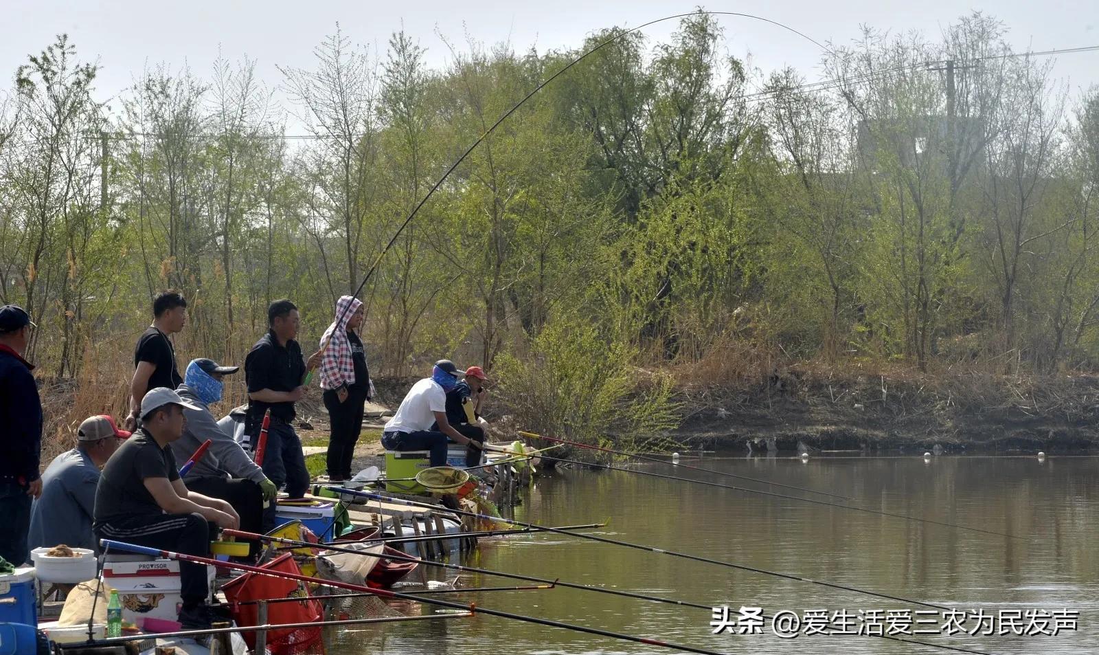 投资什么行业前景好利润高,解密八个闷声发大财行业